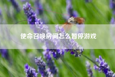 使命召唤房间怎么暂停游戏