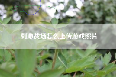 刺激战场怎么上传游戏照片