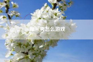 厘米秀怎么游戏