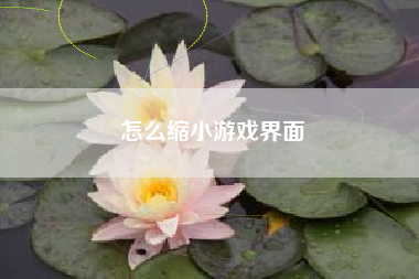 怎么缩小游戏界面