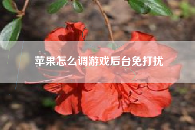 苹果怎么调游戏后台免打扰