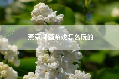 燕京啤酒游戏怎么玩的