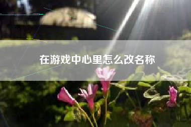 在游戏中心里怎么改名称