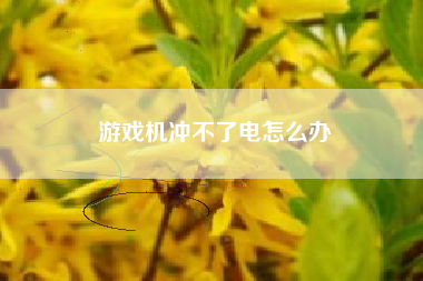 游戏机冲不了电怎么办
