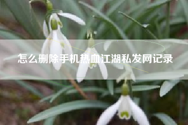怎么删除手机热血江湖私发网记录
