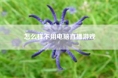 怎么样不用电脑直播游戏
