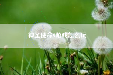 神圣使命9游戏怎么玩