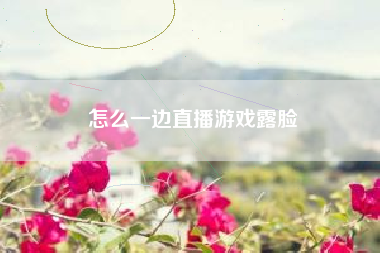 怎么一边直播游戏露脸