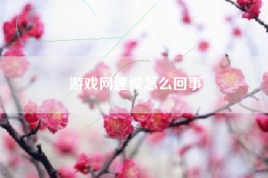 游戏网速慢怎么回事
