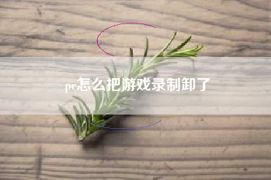 pc怎么把游戏录制卸了