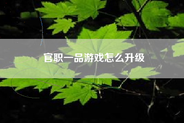 官职一品游戏怎么升级