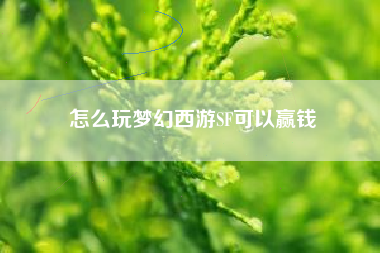 怎么玩梦幻西游SF可以赢钱
