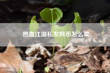 热血江湖私发网币怎么卖