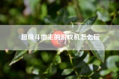 超级斗地主的游戏机怎么玩