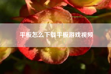 平板怎么下载平板游戏视频
