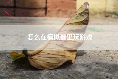 怎么在模拟器里玩游戏
