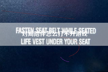 对局陪伴怎么打不开游戏