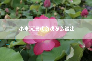 小米沉浸式游戏怎么退出