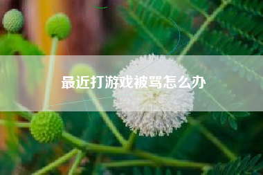 最近打游戏被骂怎么办