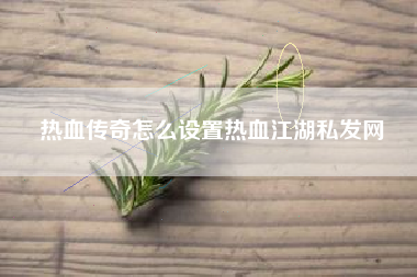 热血传奇怎么设置热血江湖私发网