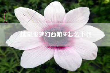 越南服梦幻西游SF怎么下载