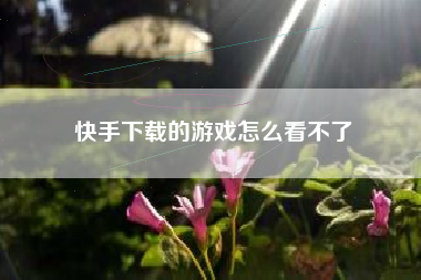 快手下载的游戏怎么看不了