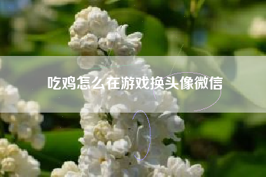 吃鸡怎么在游戏换头像微信