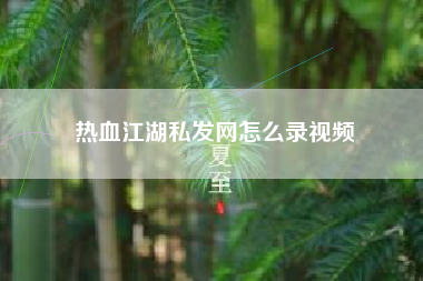 热血江湖私发网怎么录视频
