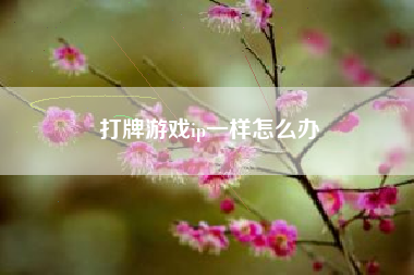 打牌游戏ip一样怎么办