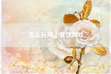 怎么玩网上餐饮游戏