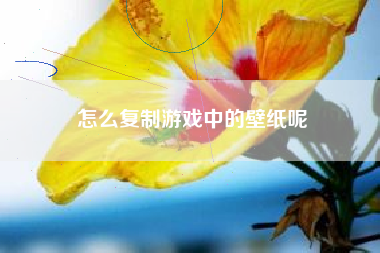 怎么复制游戏中的壁纸呢