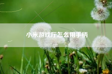 小米游戏厅怎么用手柄