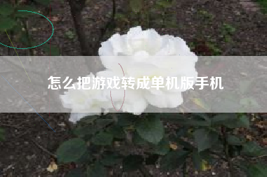 怎么把游戏转成单机版手机