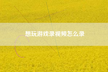 想玩游戏录视频怎么录