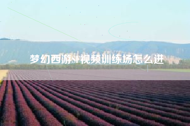 梦幻西游SF视频训练场怎么进