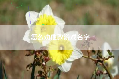 怎么劝他改游戏名字