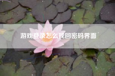 游戏登录怎么找回密码界面
