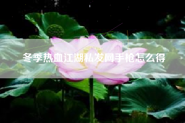 冬季热血江湖私发网手枪怎么得