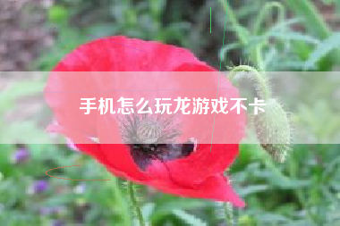 手机怎么玩龙游戏不卡