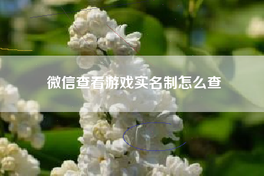微信查看游戏实名制怎么查