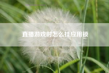直播游戏时怎么挂应用锁
