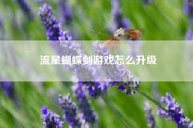 流星蝴蝶剑游戏怎么升级