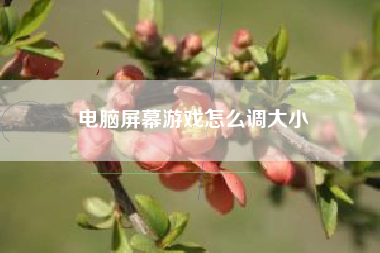 电脑屏幕游戏怎么调大小
