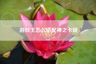 游戏王怎么搭配神之卡组