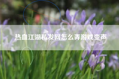 热血江湖私发网怎么弄游戏变声