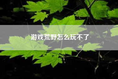 游戏荒野怎么玩不了