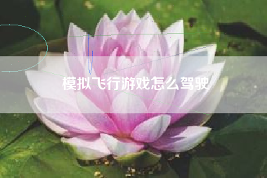 模拟飞行游戏怎么驾驶