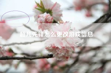 超凡先锋怎么更改游戏信息
