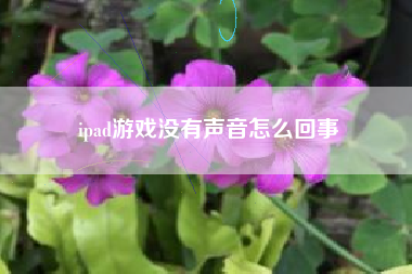 ipad游戏没有声音怎么回事
