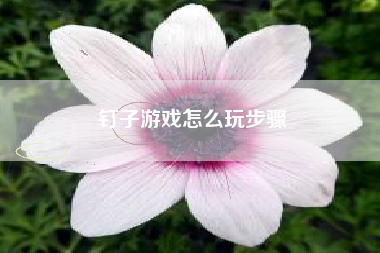 钉子游戏怎么玩步骤